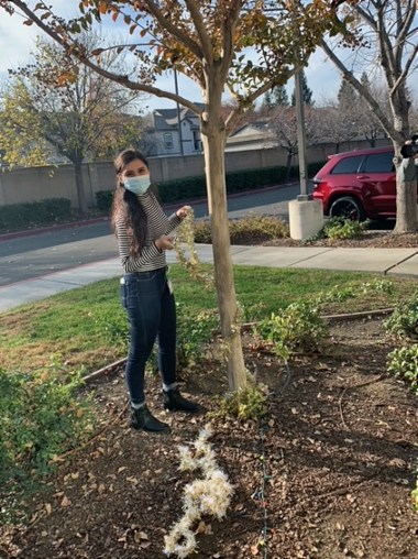 A VITAS employee decorates a tree