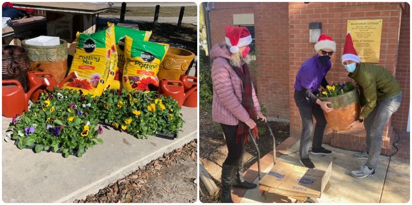 Pansies, pots, watering cans and potting soil on a table, and three team members carry a pot into place