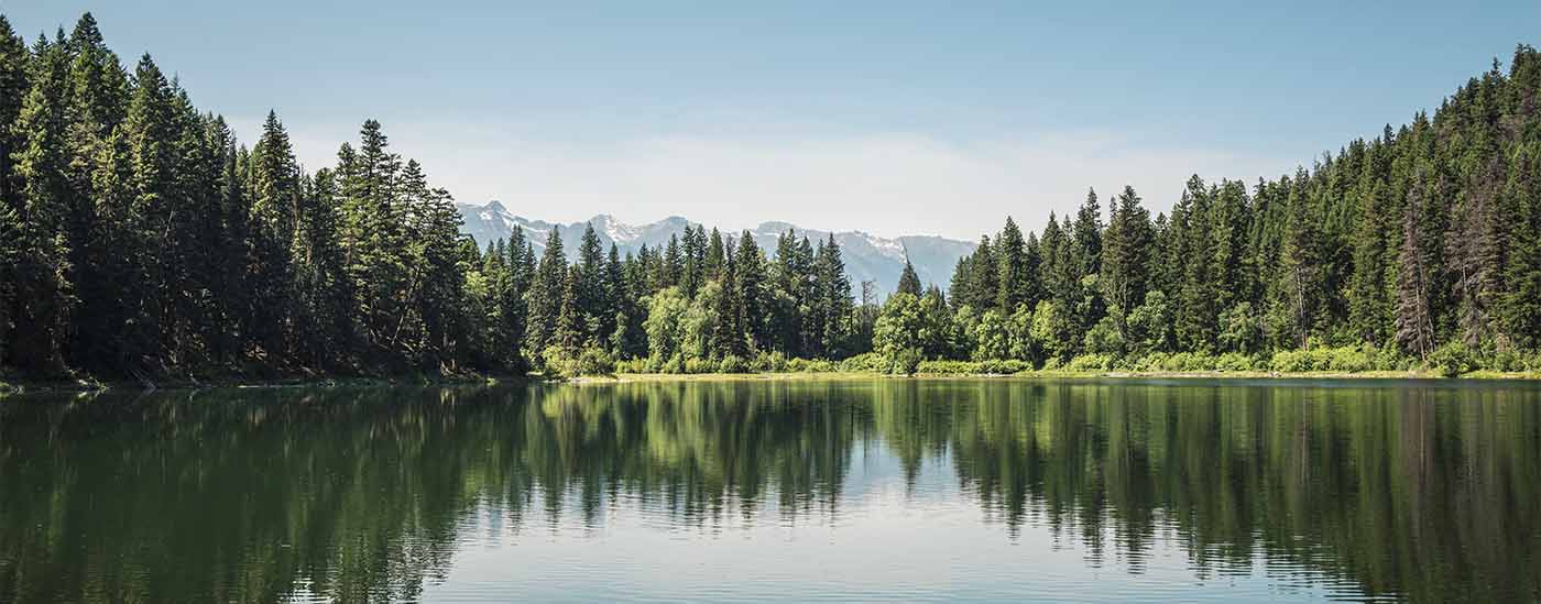 Imagen de un lago entre montañas rodeado de árboles.