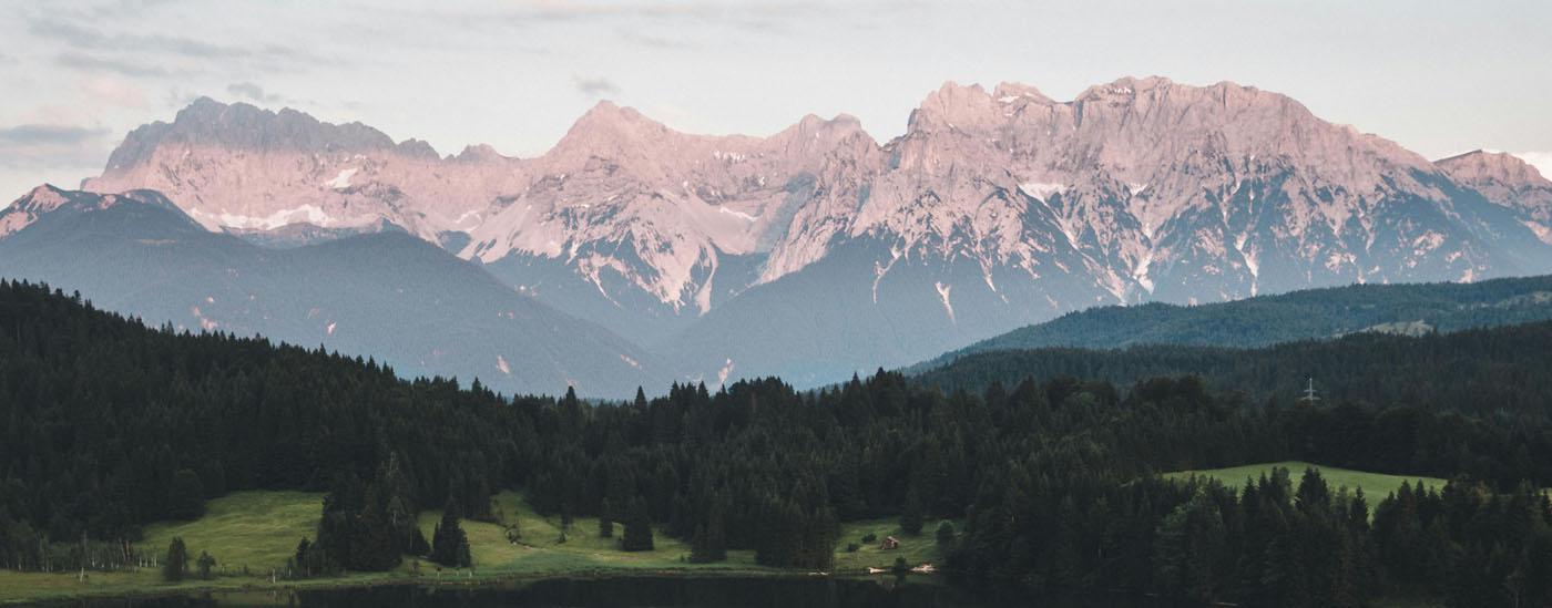 A coniferous forest flanked by mountains