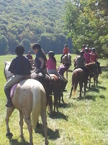 Group of people riding horses