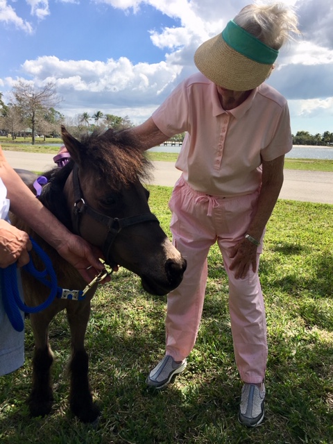 A patient pets a therapy pony