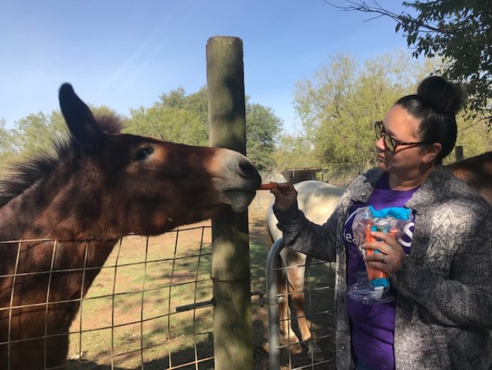 A VITAS team member feeds a carrot to a donkey