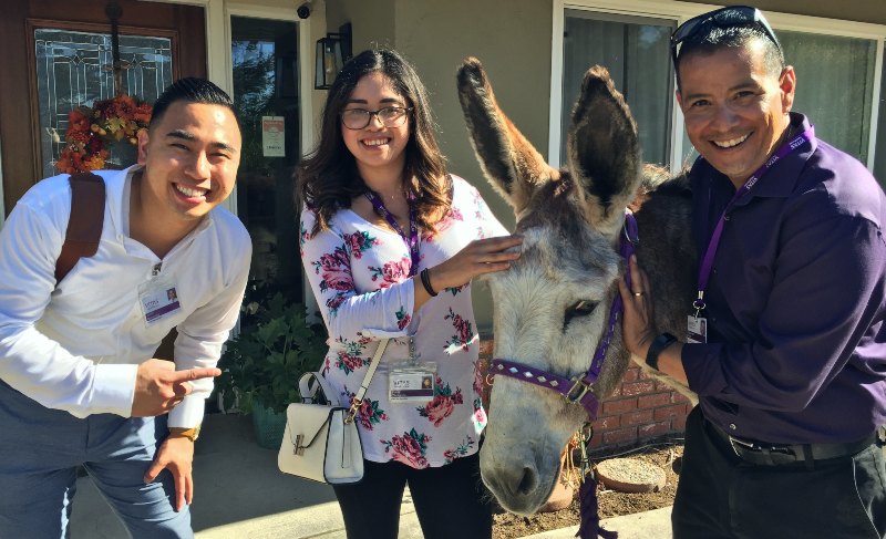 The VITAS team with the donkey outside