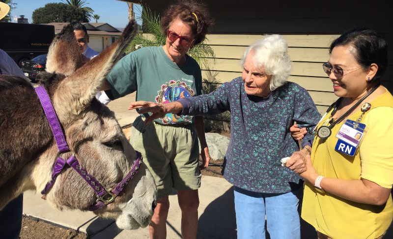 Florence pets the donkey outside