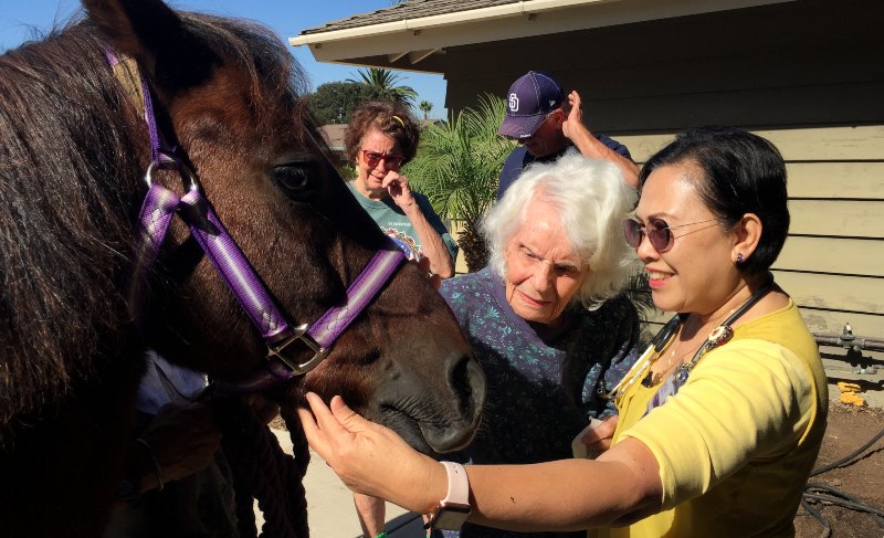 Florence greets the pony outside