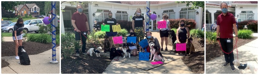 A collage of the dogs and trainers outside at the senior care center
