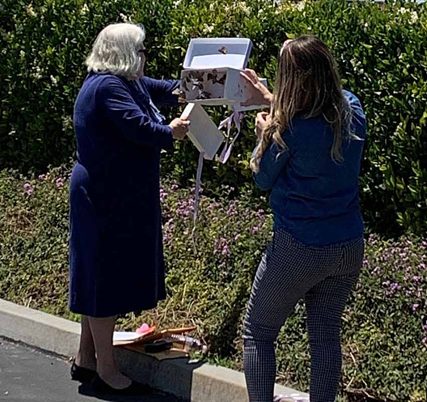 Two VITAS team members hold open a box of butterflies near a gardened area