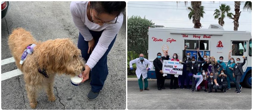 Jensen the dog licks some vanilla soft-serve ice cream from a dish, while other healthcare workers pose in front of the truck