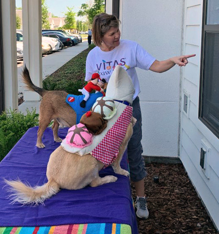 Paw Pals volunteer Julie shows dog volunteers Kermit and Buster how to look in the window