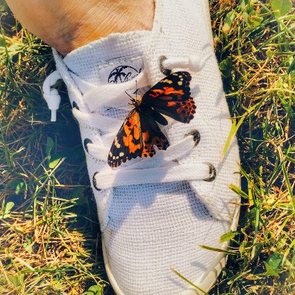 A butterfly lands on an attendee's shoe