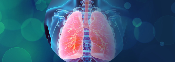 Lung diagram