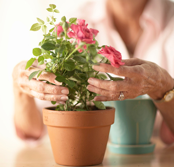 Mujer se inclina sobre una planta florecida en una maceta