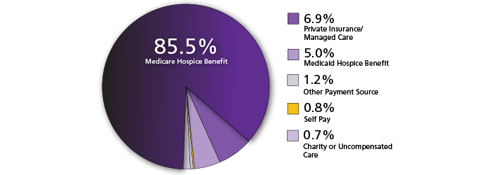 A pie chart showing who pays for hospice