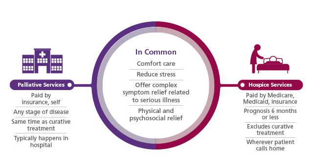 Hospice Vs Palliative Care Chart