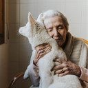 Một bệnh nhân được chăm sóc cuối đời ôm chú chó giống Sục Đức