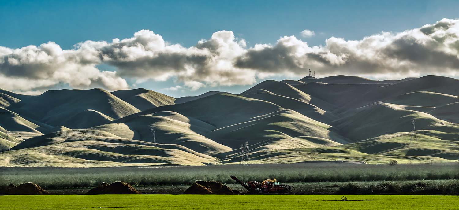 Campo delante de un cielo azul
