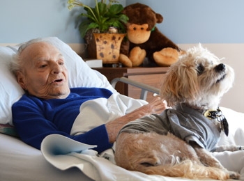 Un paciente de VITAS con un perro voluntario de Paw Pals